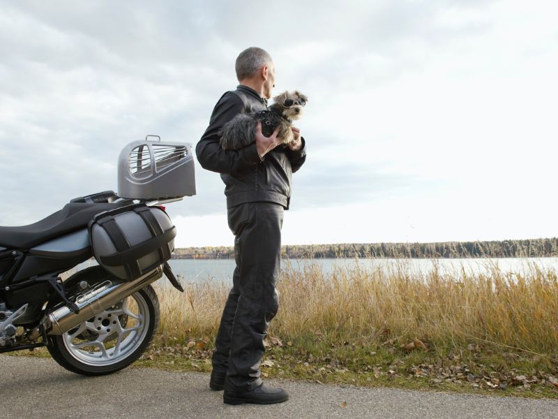 como viajar com cachorro de moto